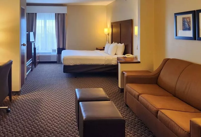 酒店 Comfort Inn & Suites Near Pocono Mountains