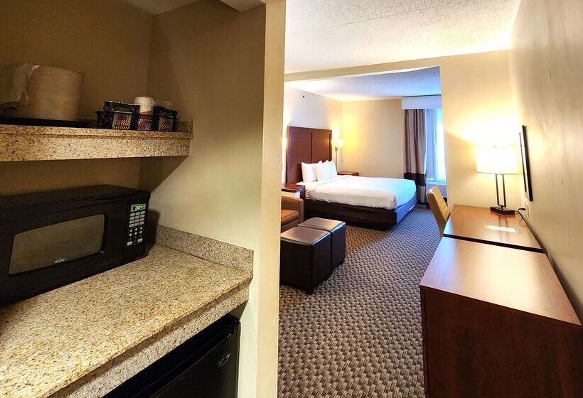 ホテル Comfort Inn & Suites Near Pocono Mountains