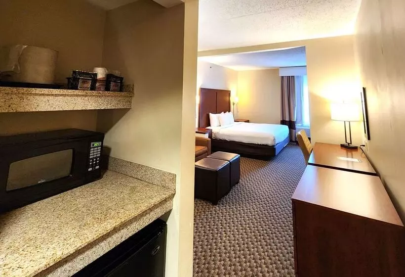 酒店 Comfort Inn & Suites Near Pocono Mountains