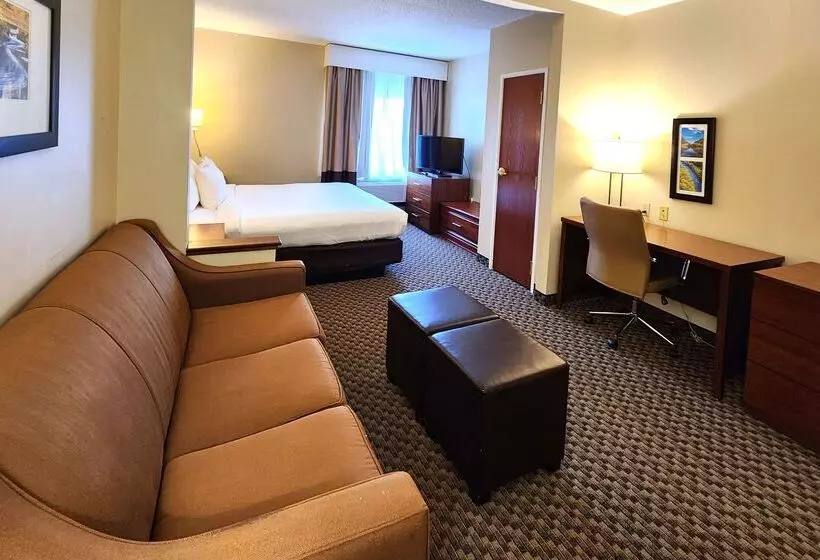酒店 Comfort Inn & Suites Near Pocono Mountains