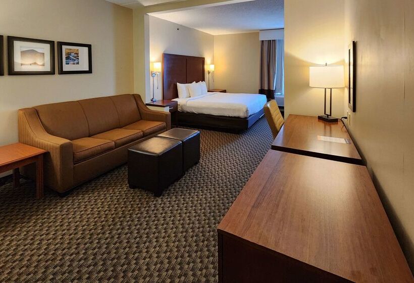 ホテル Comfort Inn & Suites Near Pocono Mountains