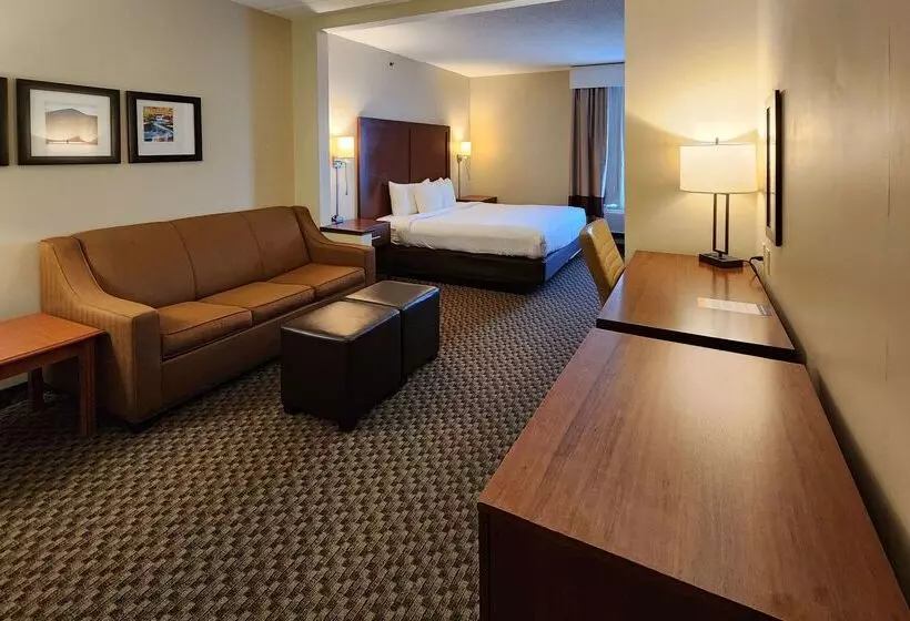 酒店 Comfort Inn & Suites Near Pocono Mountains