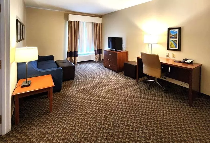 酒店 Comfort Inn & Suites Near Pocono Mountains