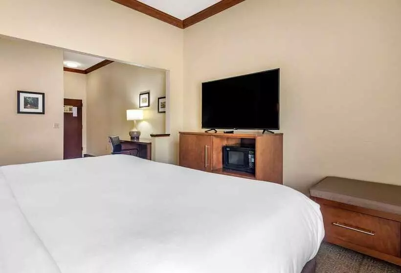 호텔 Comfort Inn & Suites Statesboro University Area