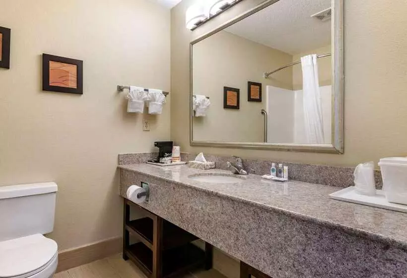 호텔 Comfort Inn & Suites Statesboro University Area