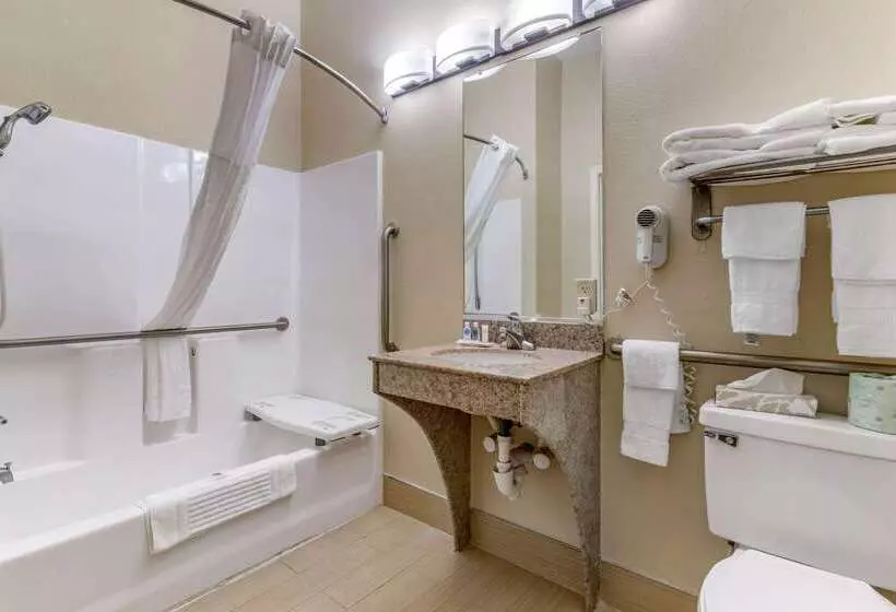 호텔 Comfort Inn & Suites Statesboro University Area