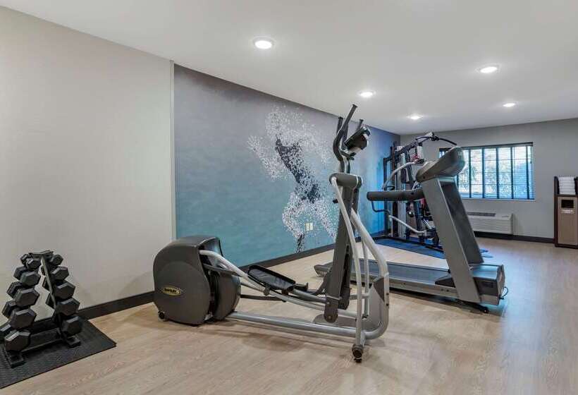 酒店 Comfort Inn & Suites Tualatin Lake Oswego South