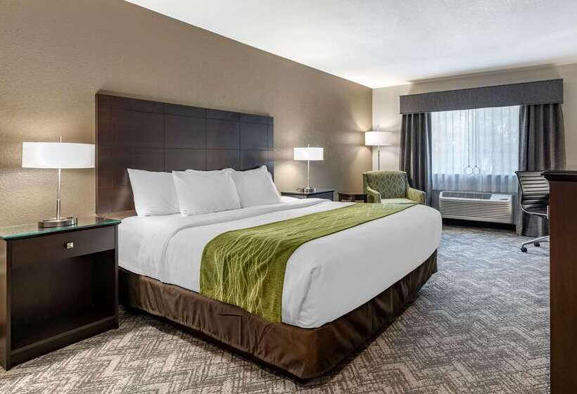 酒店 Comfort Inn & Suites Tualatin Lake Oswego South