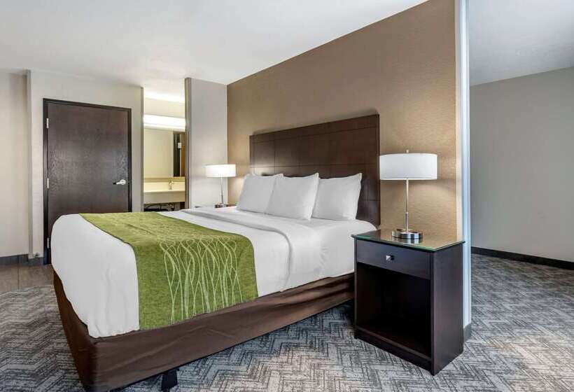 酒店 Comfort Inn & Suites Tualatin Lake Oswego South