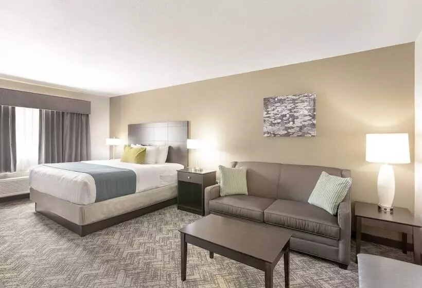 호텔 Comfort Inn & Suites Tualatin  Lake Oswego South