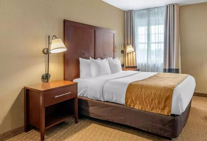 Отель Comfort Inn Warrensburg Station
