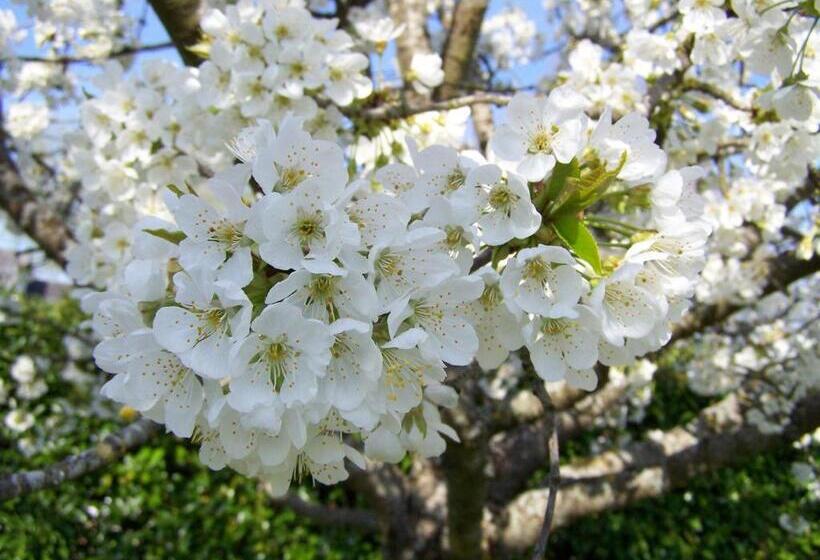 בית מלון כפרי Le Verger