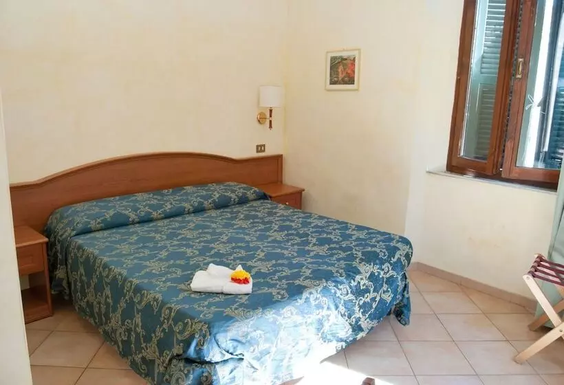 هتل Albergo Arena