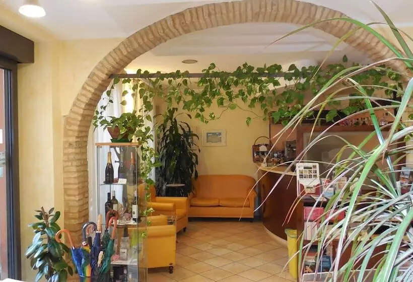 هتل Albergo Arena