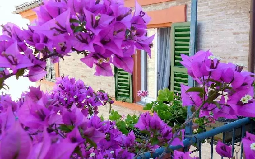 هتل Albergo Arena