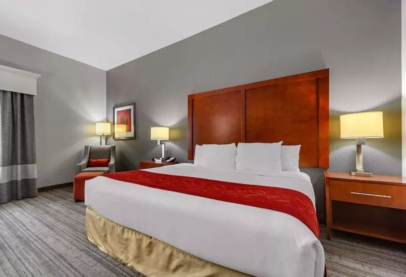 ホテル Comfort Inn Kearney I80