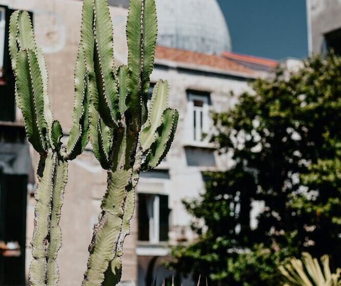 هتل Costantinopoli 104