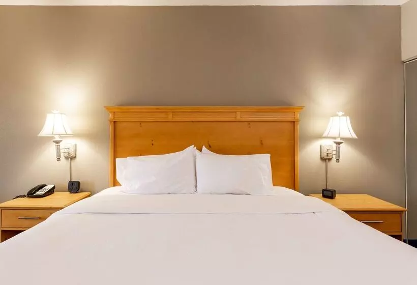 هتل Hampton Inn & Suites Jacksonville Deerwood Park