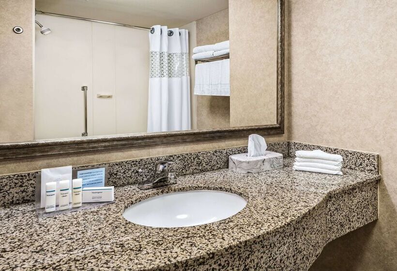 ホテル Hampton Inn & Suites San Marcos