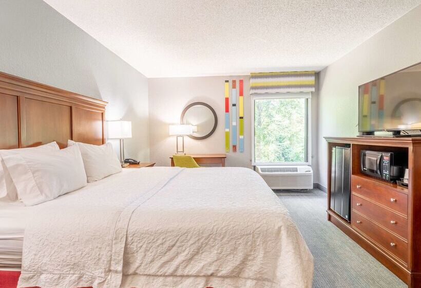 בית מלון כפרי Hampton Inn Gainesville