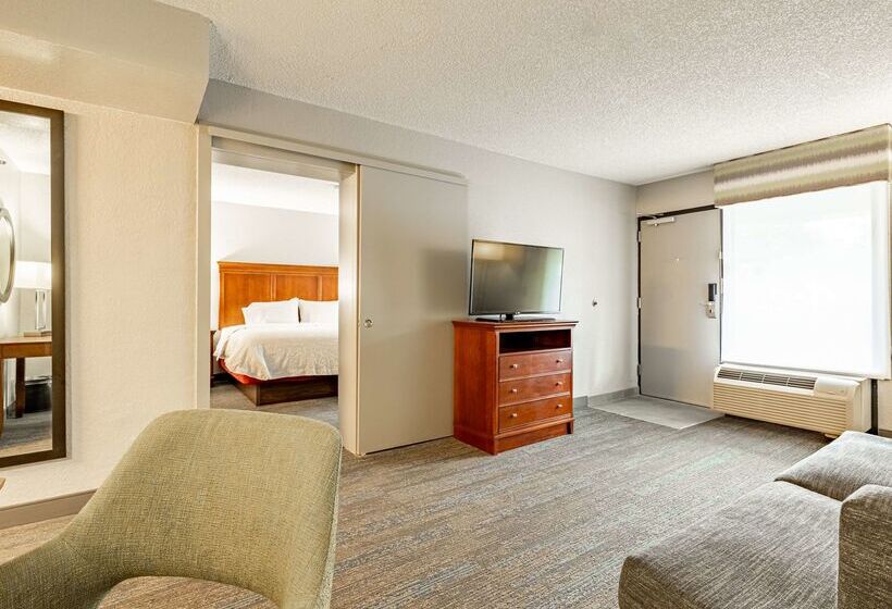 בית מלון כפרי Hampton Inn Gainesville