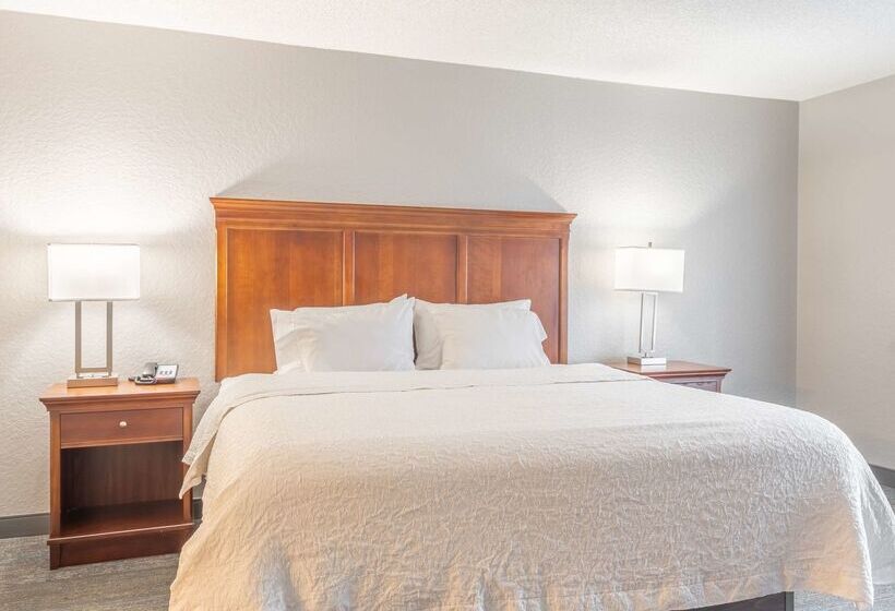 בית מלון כפרי Hampton Inn Gainesville