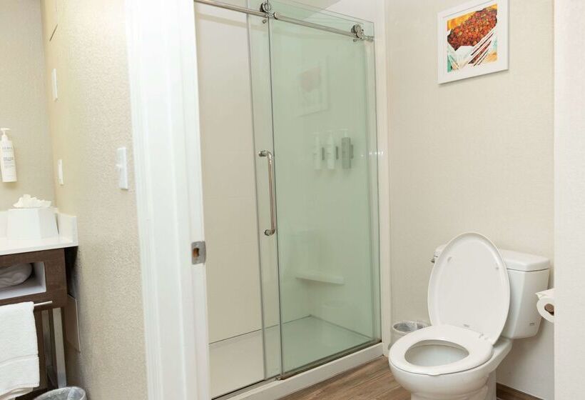 בית מלון כפרי Hampton Inn Hammond