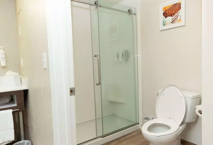 酒店 Hampton Inn Hammond