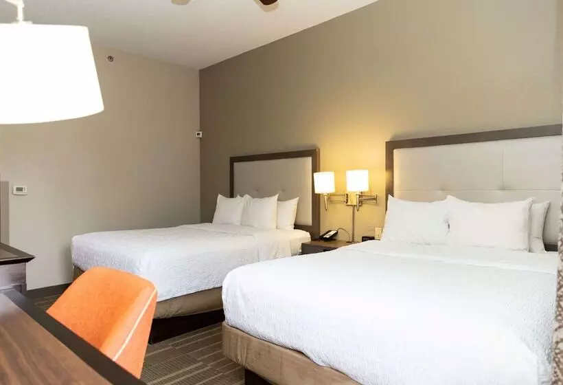 酒店 Hampton Inn Hammond