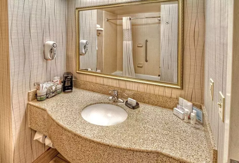 ホテル Hampton Inn Midland