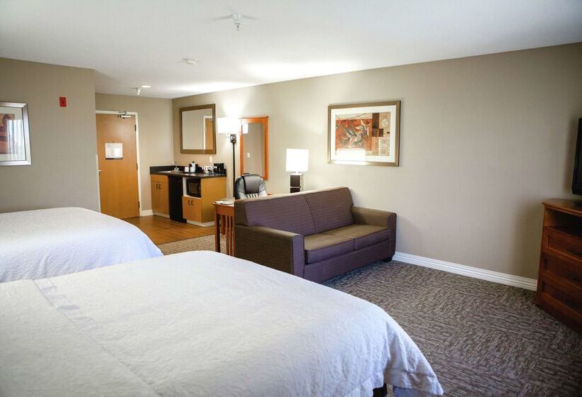 فندق Hampton Inn Mitchell