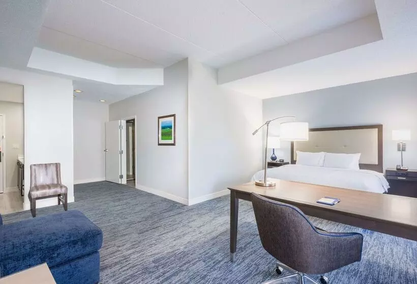 酒店 Hampton Inn Mount Airy