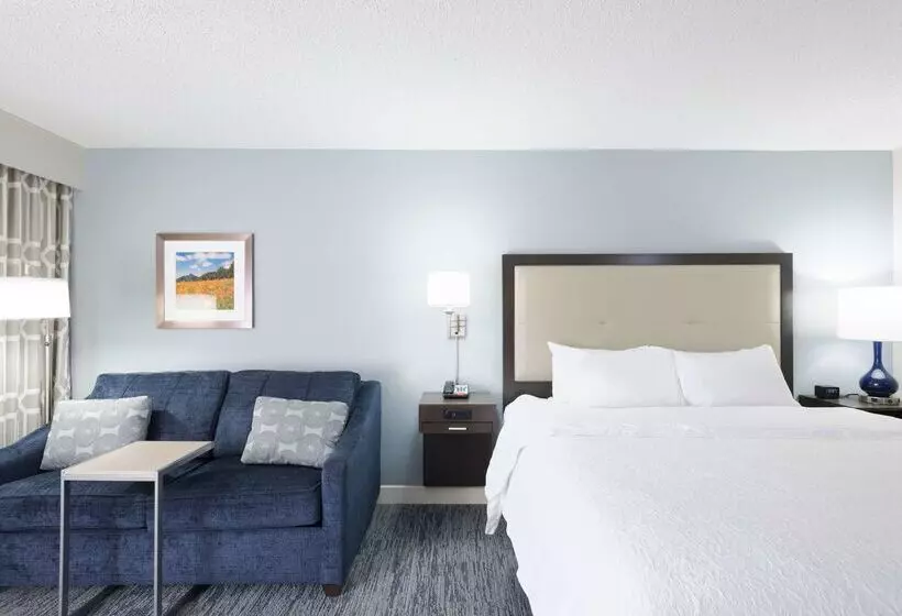 酒店 Hampton Inn Mount Airy