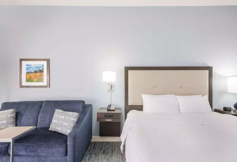 酒店 Hampton Inn Mount Airy