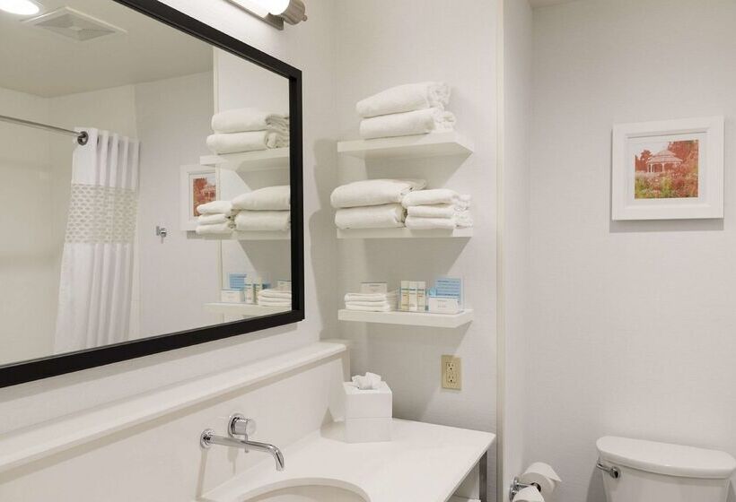 Отель Hampton Inn Mt. Pleasant