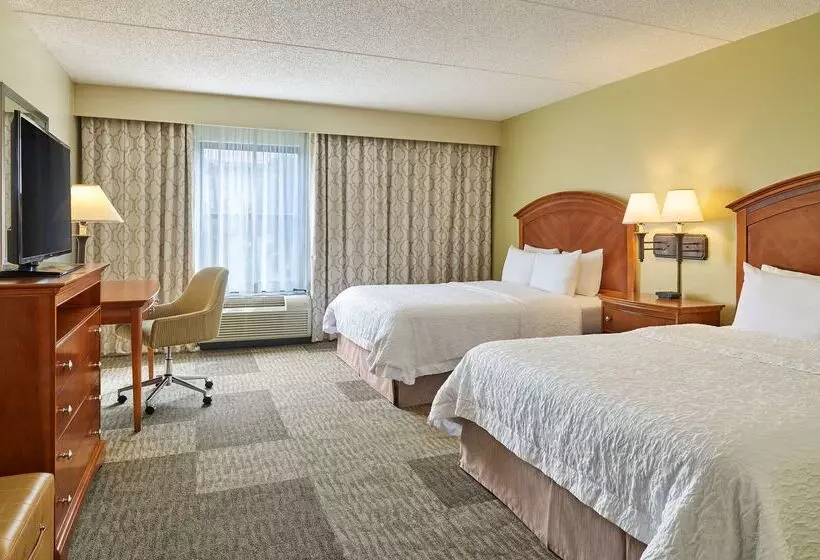 ホテル Hampton Inn San Antonio Stone Oak
