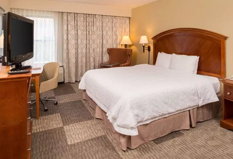 ホテル Hampton Inn San Antonio Stone Oak
