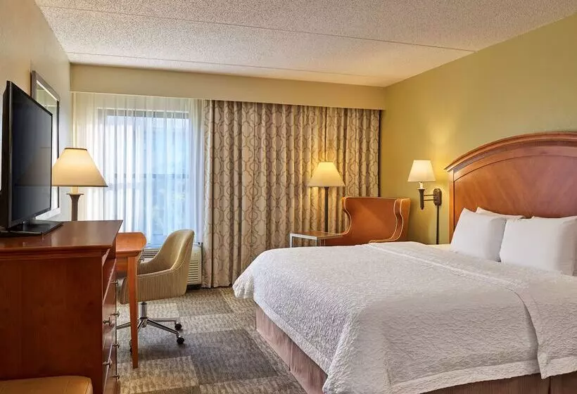 ホテル Hampton Inn San Antonio Stone Oak