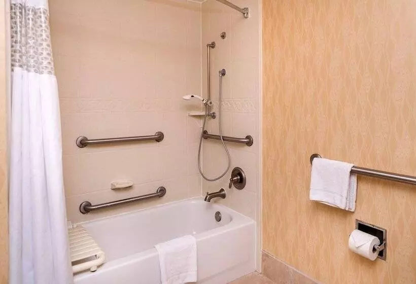 ホテル Hampton Inn San Antonio Stone Oak
