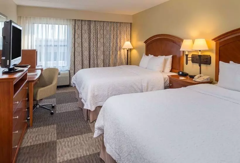ホテル Hampton Inn San Antonio Stone Oak