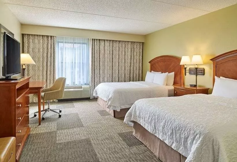 ホテル Hampton Inn San Antonio Stone Oak