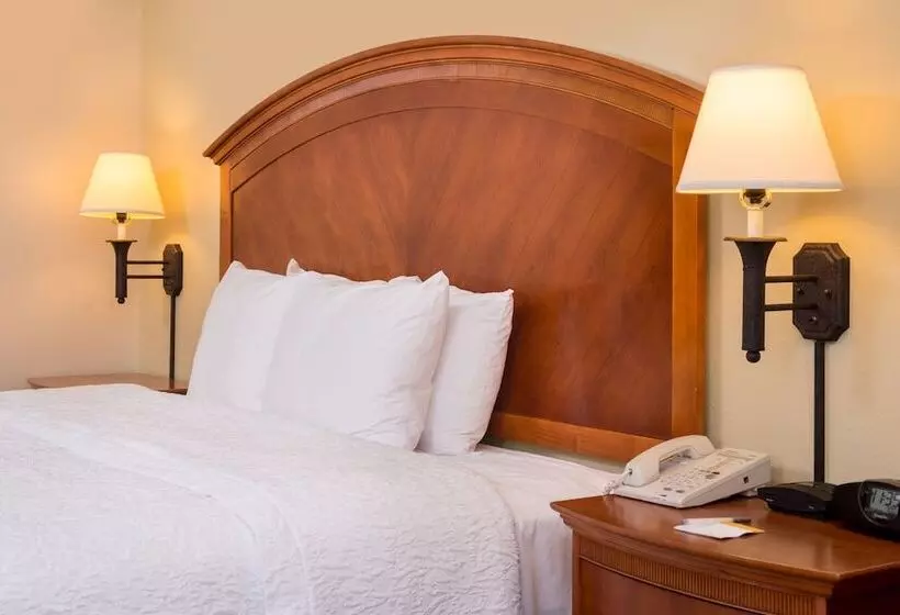 ホテル Hampton Inn San Antonio Stone Oak