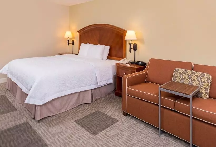 ホテル Hampton Inn San Antonio Stone Oak