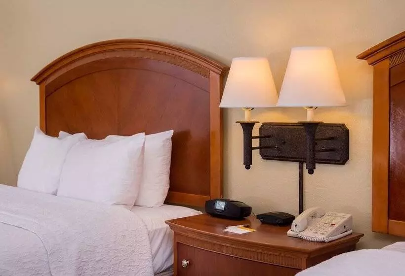 ホテル Hampton Inn San Antonio Stone Oak