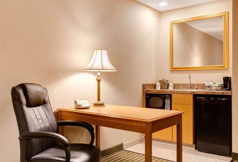 酒店 Hampton Inn & Suites Addison