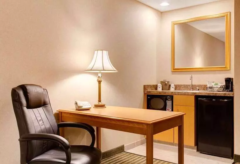 호텔 Hampton Inn & Suites Addison