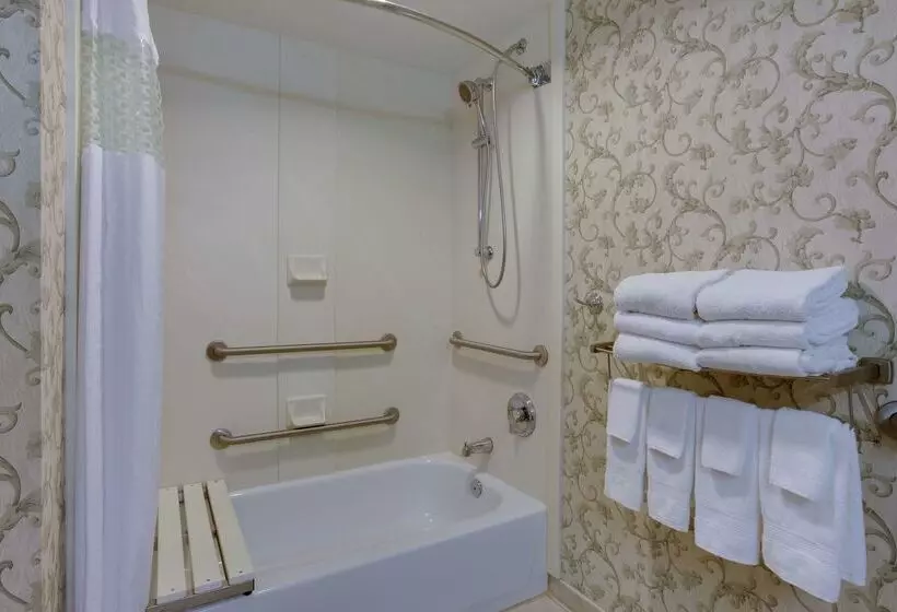 ホテル Hampton Inn & Suites Chincoteaguewaterfront