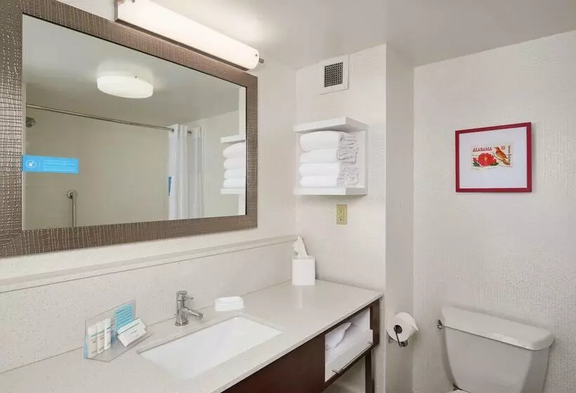 فندق Hampton Inn & Suites Oxfordanniston