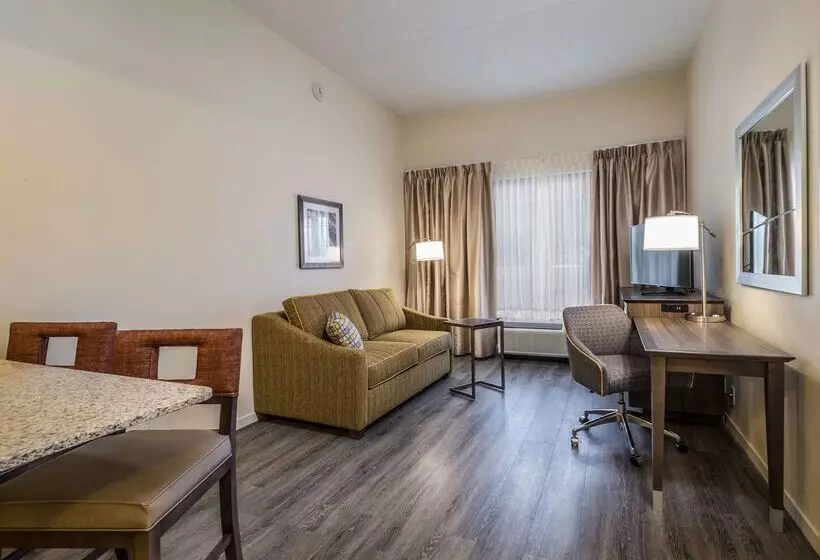 בית מלון כפרי Hampton Inn Waterville