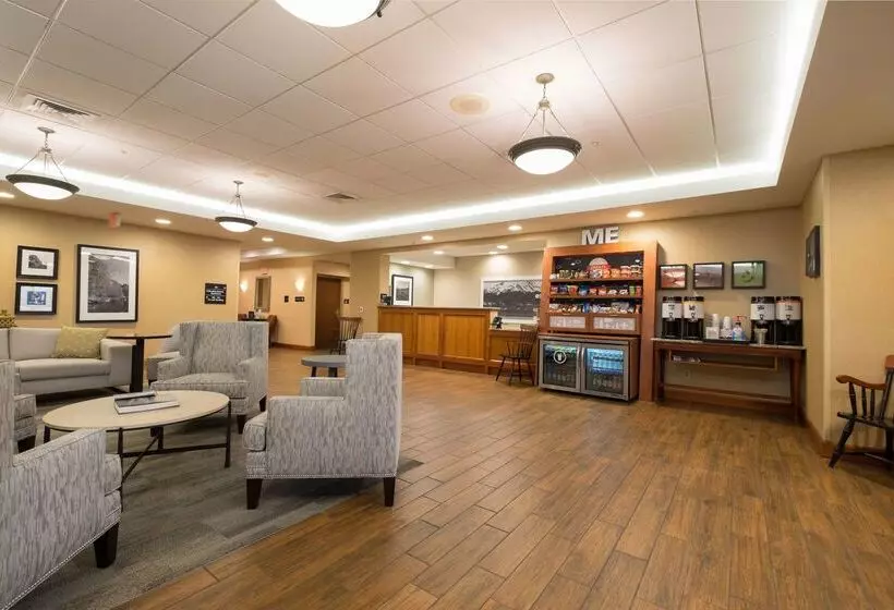 בית מלון כפרי Hampton Inn Waterville